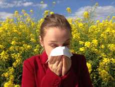 Tackling Allergies