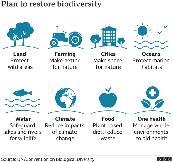 Restore biodiversity