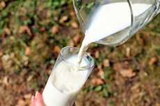Do kids need to drink cow's milk and eat dairy products?